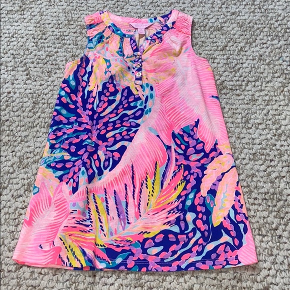 Lilly Pulitzer Other - Lilly Pulitzer dress